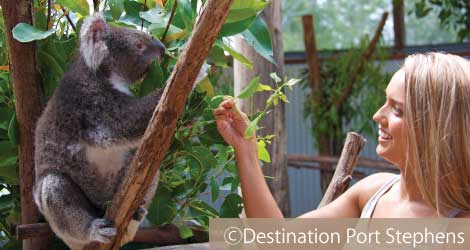 オークベール動物園イメージ