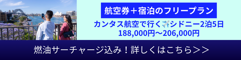 パッケージツアー