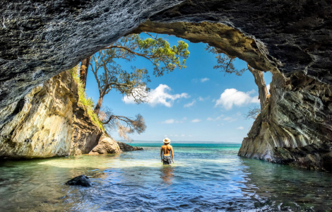 ジャービスベイイメージ