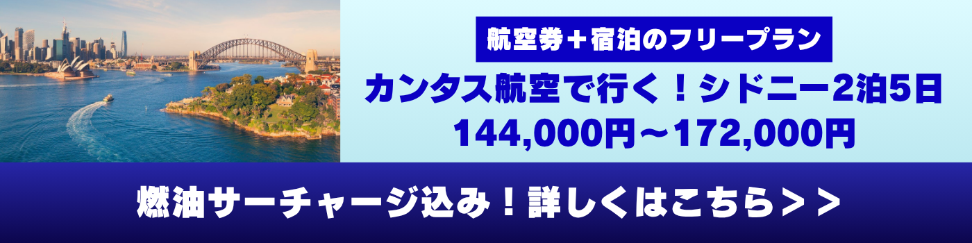 パッケージツアー